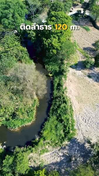 ให้เช่า - ถ.ธนะรัชต์ เขาใหญ่, นครราชสีมา