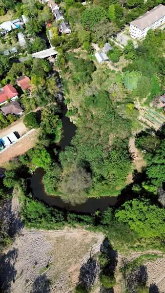 ถ.ธนะรัชต์ เขาใหญ่, Nakhon Ratchasima, Pak Chong, Pak Chong, Nakhon Ratchasima, , 9,600 sqm, Land For Rent, by พลิศภัสร์ โชคธนวีระกานต์, 500254721 - DDproperty.com