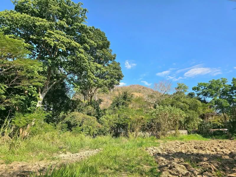 ถ.ธนะรัชต์ เขาใหญ่, Nakhon Ratchasima, Pak Chong, Pak Chong, Nakhon Ratchasima, , 9,600 sqm, Land For Rent, by พลิศภัสร์ โชคธนวีระกานต์, 500254721 - DDproperty.com