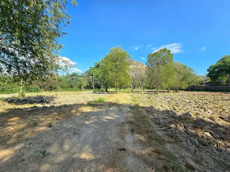 ถ.ธนะรัชต์ เขาใหญ่, Nakhon Ratchasima, Pak Chong, Pak Chong, Nakhon Ratchasima, , 9,600 sqm, Land For Rent, by พลิศภัสร์ โชคธนวีระกานต์, 500254721 - DDproperty.com