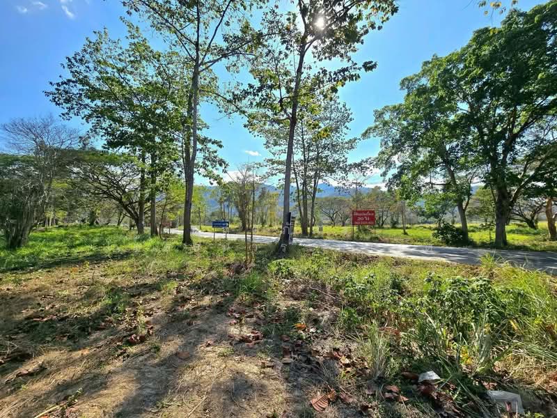 ถ.ธนะรัชต์ เขาใหญ่, Nakhon Ratchasima, Pak Chong, Pak Chong, Nakhon Ratchasima, , 9,600 sqm, Land For Rent, by พลิศภัสร์ โชคธนวีระกานต์, 500254721 - DDproperty.com