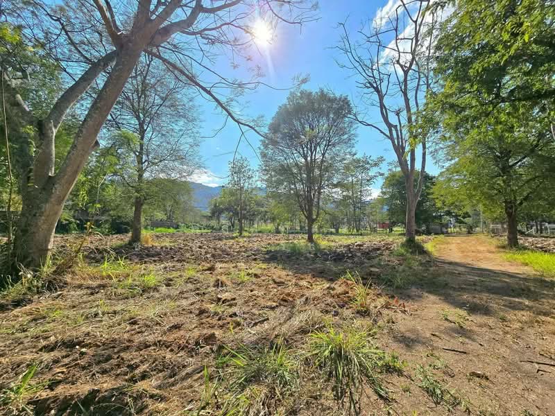 ให้เช่า - ถ.ธนะรัชต์ เขาใหญ่, นครราชสีมา