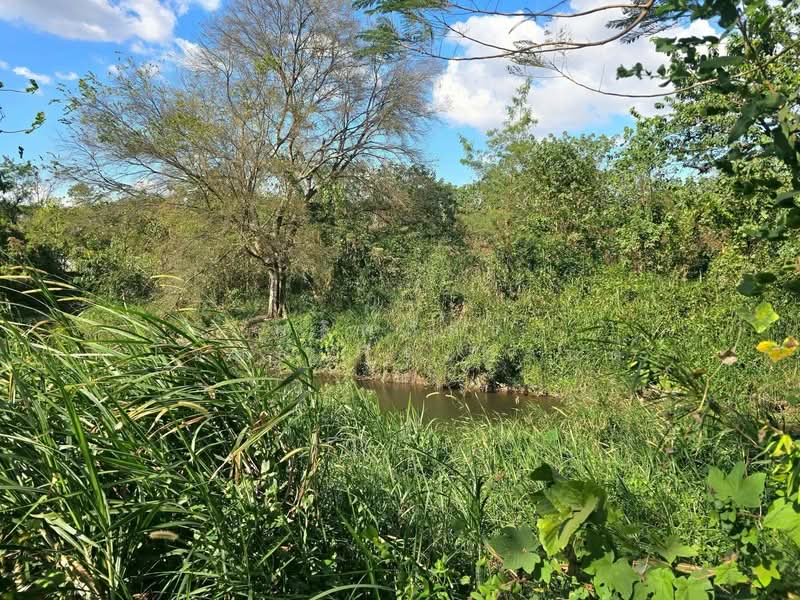 ให้เช่า - ถ.ธนะรัชต์ เขาใหญ่, นครราชสีมา