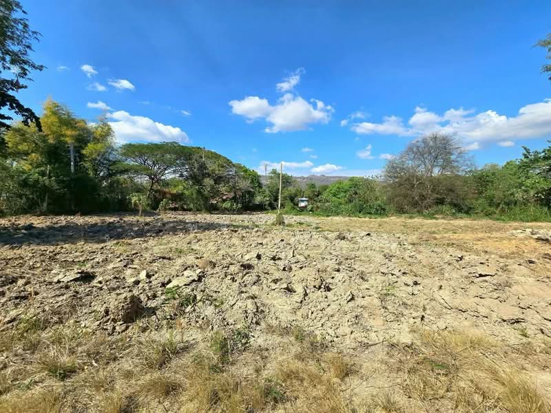 ถ.ธนะรัชต์ เขาใหญ่, Nakhon Ratchasima, Pak Chong, Pak Chong, Nakhon Ratchasima, , 9,600 sqm, Land For Rent, by พลิศภัสร์ โชคธนวีระกานต์, 500254721 - DDproperty.com