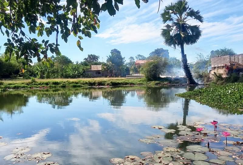 ที่ดินบ้านไผ่ ขอนแก่น, Khon Kaen, Nong Nam Sai, Ban Phai, Khon Kaen, , 1,280 sqm, Land For Sale, by The Best Property อัคร, 500254753 - DDproperty.com