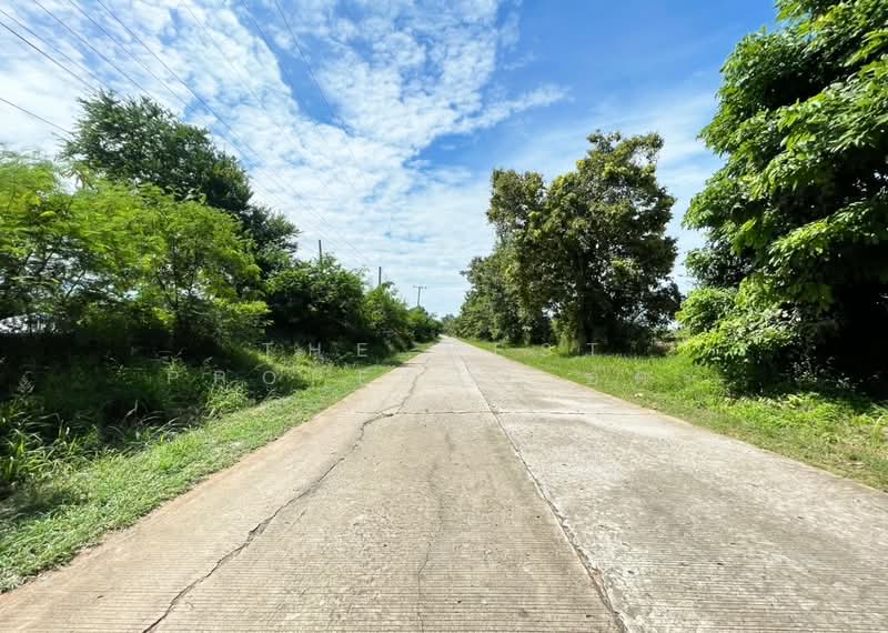 ที่ดินบ้านไผ่ ขอนแก่น, ขอนแก่น, หนองน้ำใส, บ้านไผ่, ขอนแก่น, 1,280 ตร.ม., ที่ดิน ขาย, โดย The Best Property อัคร, 500254753 - DDproperty.com