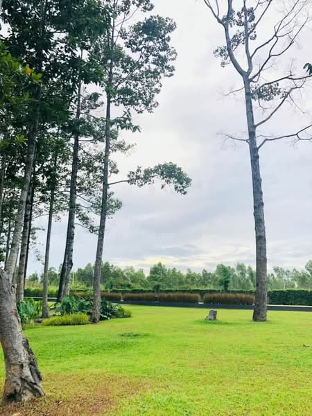 Life In The Garden Rongpo-Motorway : ไลฟ อิน เดอะ การ์เด้น โรงโป๊ะ-มอเตอร์เวย์, ชลบุรี, ซอยบางละมุง 25 (โรงโป๊ะ), ตะเคียนเตี้ย, บางละมุง, ชลบุรี, 220 ตร.ม., บ้านเดี่ยว ให้เช่า, โดย Mantana Techapahaphong, 500254834 - DDproperty.com