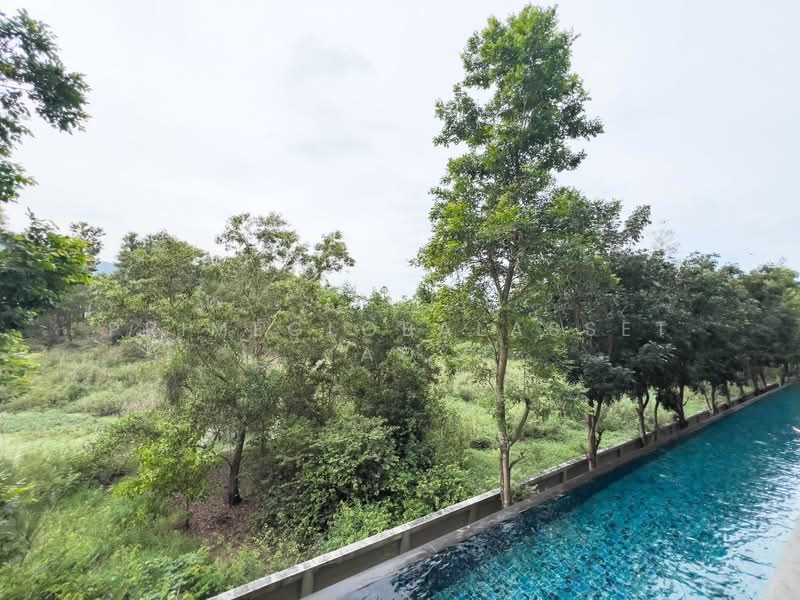 Zcape 2, Phuket, Thep Kasattri, Choeng Thale, Thalang, Phuket, 1 Bedroom, 30 sqm, Condo For Rent, by primeglobalasset Ao, 500254949 - DDproperty.com