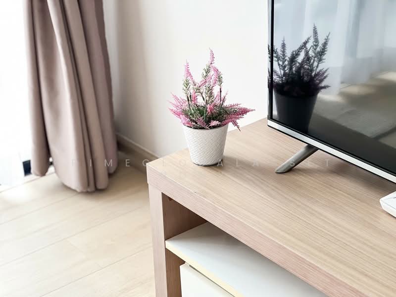 Zcape 2, Phuket, Thep Kasattri, Choeng Thale, Thalang, Phuket, 1 Bedroom, 30 sqm, Condo For Rent, by primeglobalasset Nony, 500254959 - DDproperty.com