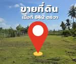 ด่วน! ขายที่ดินทำเลทอง สิงหนคร สงขลา พื้นที่ 84.2 ตร.ว. ทำเลมีอนาคต เหมาะสร้างบ้านพักอาศัย, สงขลา