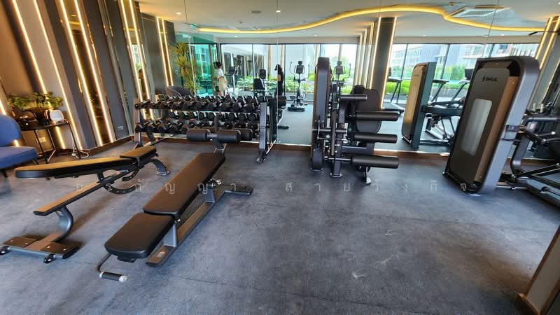 Arise Charoen Mueang, Chiang Mai, Nong Pa Krang, Muang Chiang Mai, Chiang Mai, 1 Bedroom, 33 sqm, Condo For Rent, by อรกัญญา สายวังกิจ, 500254991 - DDproperty.com