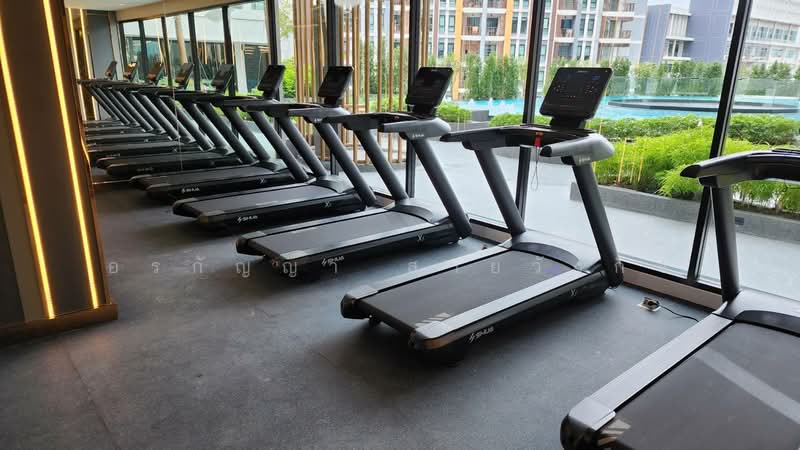 Arise Charoen Mueang, Chiang Mai, Nong Pa Krang, Muang Chiang Mai, Chiang Mai, 1 Bedroom, 33 sqm, Condo For Rent, by อรกัญญา สายวังกิจ, 500254991 - DDproperty.com