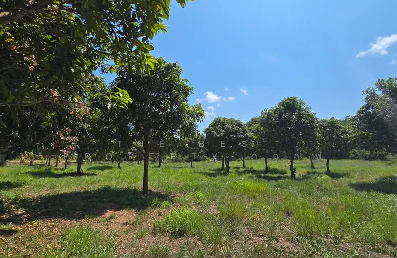 ที่ดินเพ ระยอง, ระยอง, เพ, เมืองระยอง, ระยอง, 4,452 ตร.ม., ที่ดิน ขาย, โดย The Best Property กอล์ฟ, 500255033 - DDproperty.com