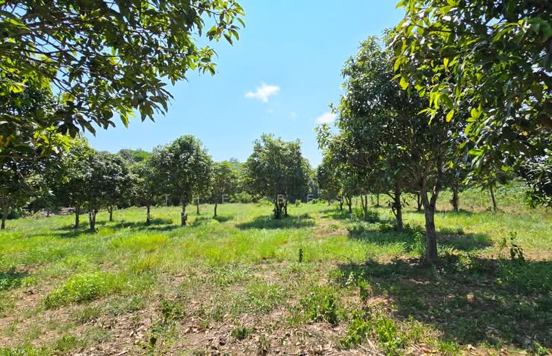 ที่ดินเพ ระยอง, Rayong, Phe, Muang Rayong, Rayong, , 4,452 sqm, Land For Sale, by The Best Property กอล์ฟ, 500255033 - DDproperty.com