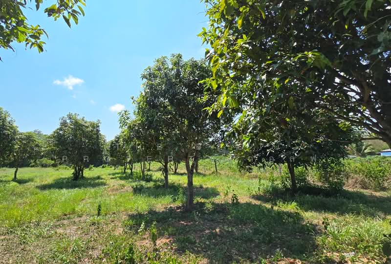 ที่ดินเพ ระยอง, ระยอง, เพ, เมืองระยอง, ระยอง, 4,452 ตร.ม., ที่ดิน ขาย, โดย The Best Property กอล์ฟ, 500255033 - DDproperty.com