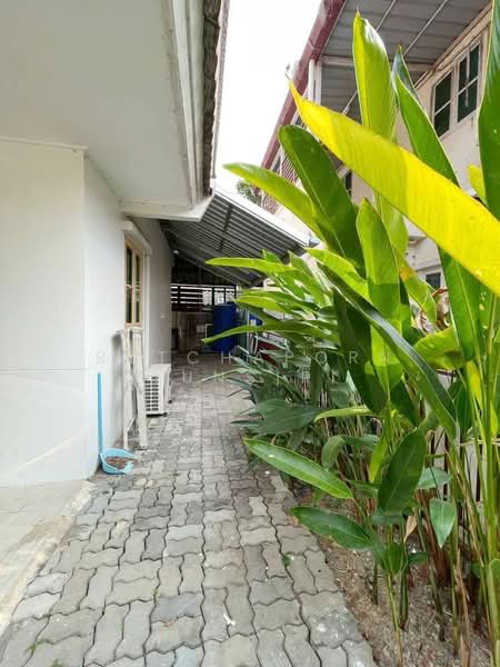 บ้านให้เช่า – ใกล้โรงเรียนต้นกล้า เพียง 5 นาที ค่าเช่า 17,000 บาท / เดือน รหัสทรัพย์ : No.11H639, เชียงใหม่, หนองหาร, สันทราย, เชียงใหม่, 150 ตร.ม., บ้านเดี่ยว ให้เช่า, โดย Rutchaporn Tunsiri, 500255200 - DDproperty.com