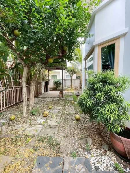 บ้านให้เช่า – ใกล้โรงเรียนต้นกล้า เพียง 5 นาที ค่าเช่า 17,000 บาท / เดือน รหัสทรัพย์ : No.11H639, เชียงใหม่, หนองหาร, สันทราย, เชียงใหม่, 150 ตร.ม., บ้านเดี่ยว ให้เช่า, โดย Rutchaporn Tunsiri, 500255200 - DDproperty.com