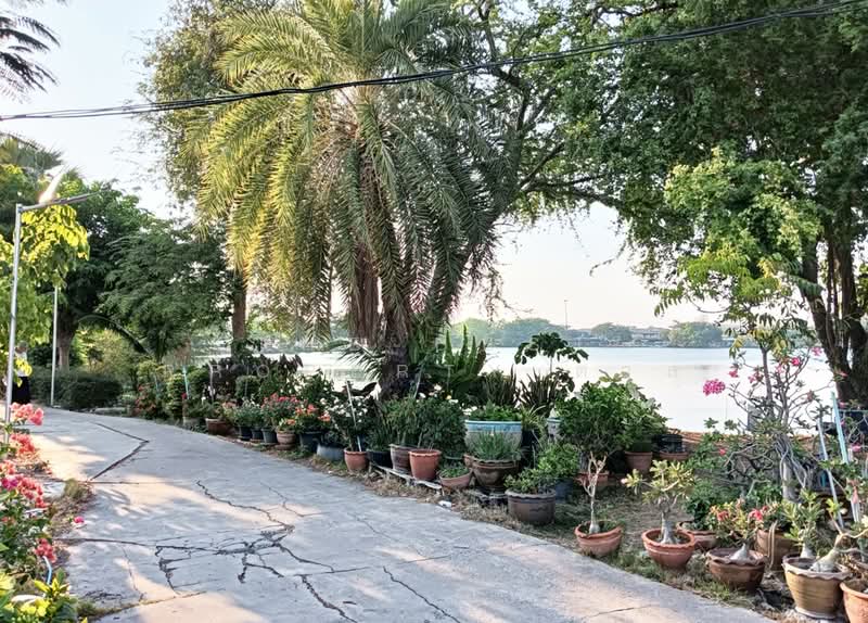 Pruksa 15 Thepharak : พฤกษา 15 เทพารักษ์, สมุทรปราการ, ถ.แพรกษา-ตำหรุ, แพรกษาใหม่, เมืองสมุทรปราการ, สมุทรปราการ, 100 ตร.ม., ทาวน์เฮ้าส์ ขาย, โดย The Best Property ตาล, 500255246 - DDproperty.com