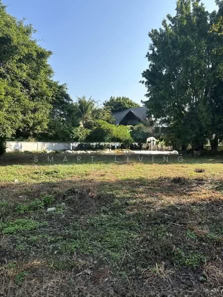 ที่ดิน เชียงใหม่, เชียงใหม่, ป่าแดด, เมืองเชียงใหม่, เชียงใหม่, 1,692 ตร.ม., ที่ดิน ขาย, โดย Smart Living Bangkok Co.,Ltd., 500255254 - DDproperty.com