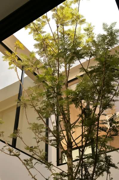 undefined, Bangkok, Dok Mai, Prawet, Bangkok, 4 Bedrooms, 416 sqm, Single Detached House For Sale, by Poomphat Tienthongsakul, 500255263 - DDproperty.com