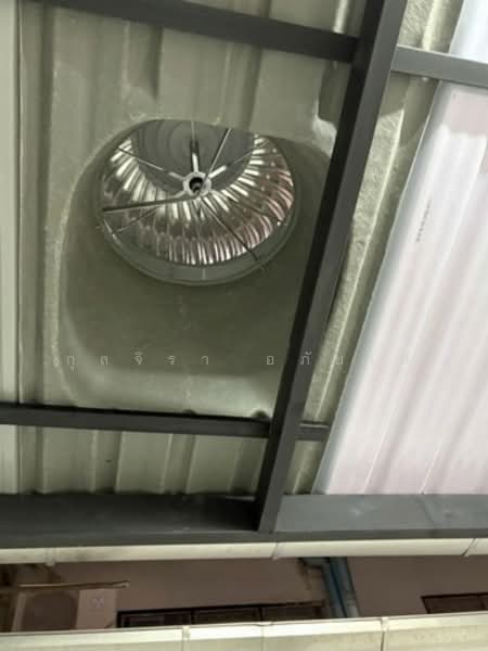 ไม่พบโครงการ, กรุงเทพ, YTDDN, บางหว้า, ภาษีเจริญ, กรุงเทพ, 200 ตร.ม., ตึกแถว-อาคารพาณิชย์ ให้เช่า, โดย กุลจิรา อภัยโส, 500255319 - DDproperty.com