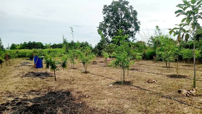 บ้านเดี่ยวพร้อมที่ดินโนนศิลา ขอนแก่น, Khon Kaen, Non Sila, Non Sila, Khon Kaen, 1 Bedroom, 30 sqm, Single Detached House For Sale, by The Best Property อัคร, 500255321 - DDproperty.com