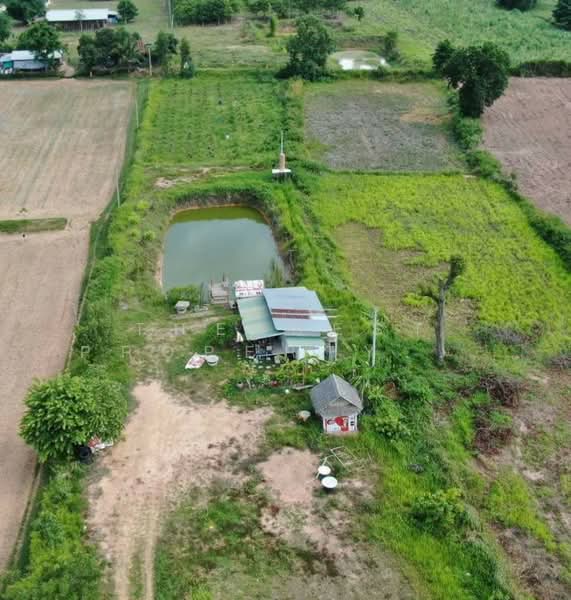 บ้านเดี่ยวพร้อมที่ดินโนนศิลา ขอนแก่น, Khon Kaen, Non Sila, Non Sila, Khon Kaen, 1 Bedroom, 30 sqm, Single Detached House For Sale, by The Best Property อัคร, 500255321 - DDproperty.com