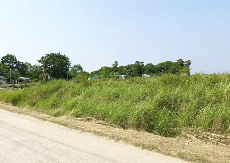 ที่ดินพนัสนิคม ชลบุรี, Chon Buri (Pattaya), Rai Lak Thong, Phanat Nikhom, Chon Buri (Pattaya), , 3,152 sqm, Land For Sale, by The Best Property แบงค์, 500255404 - DDproperty.com