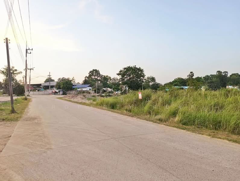ที่ดินพนัสนิคม ชลบุรี, Chon Buri (Pattaya), Rai Lak Thong, Phanat Nikhom, Chon Buri (Pattaya), , 3,152 sqm, Land For Sale, by The Best Property แบงค์, 500255404 - DDproperty.com