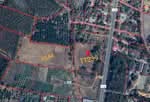 ขายที่ดิน ทำเลทอง อ.แม่สรวย 12 ไร่ 3 งาน 92 ตร.ว., เชียงราย