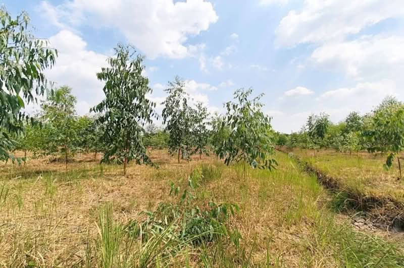 ที่ดินเปล่า เนื้อที่ 5-0-83 ไร่ หมู่บ้าน เวิลด์คลับแลนด์ ถนนคลองหลวง (ทล.3214) ตำบลคลองสาม อำเภอคลอง, Pathum Thani, Khlong Sam, Khlong Luang, Pathum Thani, , 8,332 sqm, Land For Sale, by ชนะชาติ นนท์ตา, 500255441 - DDproperty.com