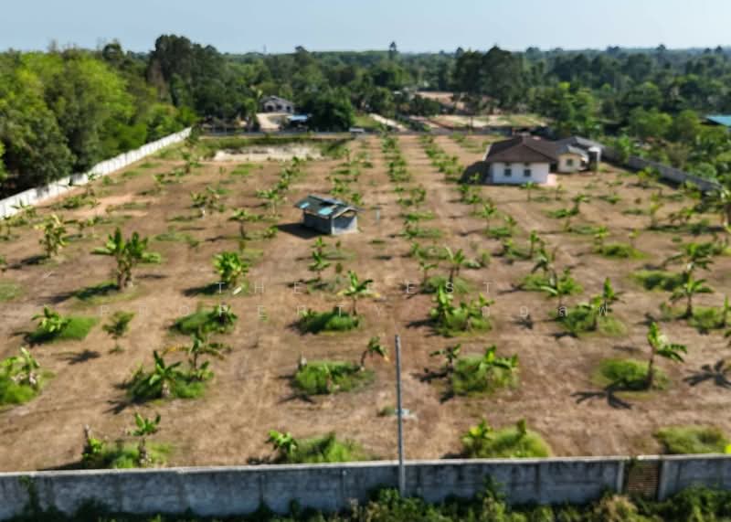 ที่ดินตะพง ระยอง, ระยอง, ตะพง, เมืองระยอง, ระยอง, 11,200 ตร.ม., ที่ดิน ขาย, โดย The Best Property  กอล์ฟ, 500255473 - DDproperty.com