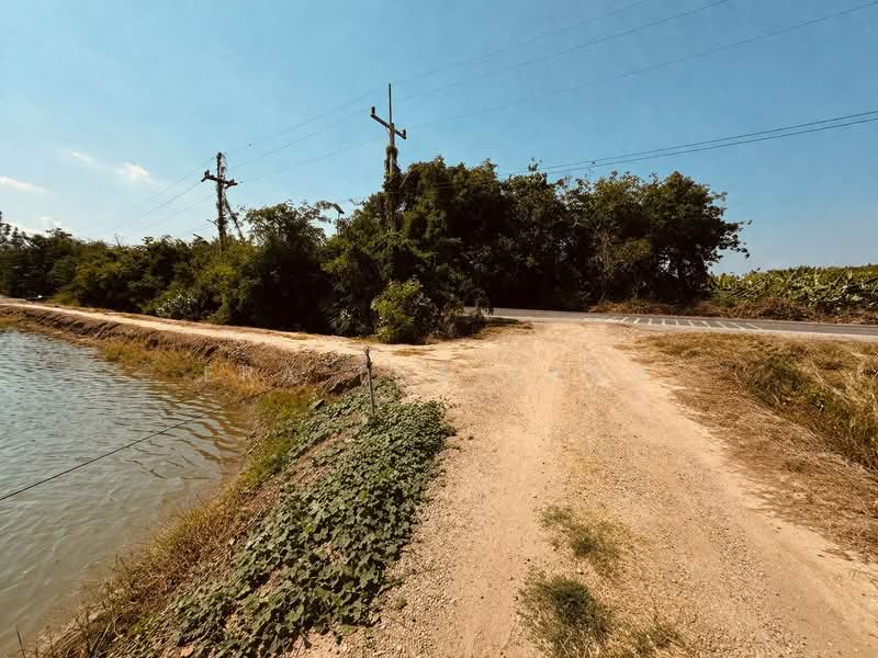 ขายที่ดิน อำเภอกำแพงแสน 12 ไร่ 1 งาน 77 ตร.ว. ใกล้ มหาวิทยาลัยเกษตรศาสตร์ กำแพงแสน, Nakhon Pathom, Sra Phatthana, Kamphaeng Saen, Nakhon Pathom, , 19,908 sqm, Land For Sale, by ERA Thailand, 500255502 - DDproperty.com