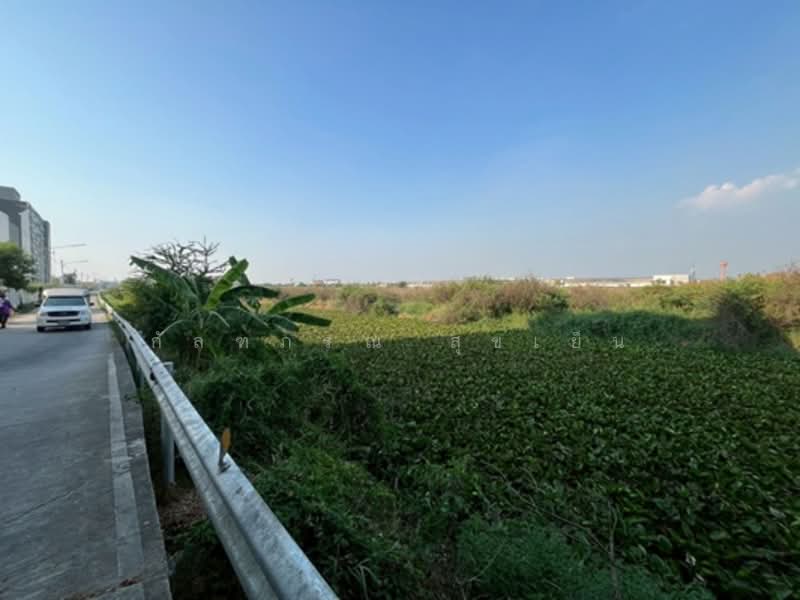 ที่ดินเปล่า 20 ไร่ 80.40 ตรว.ติดนิคมอุตสาหกรรมโรจนะ, Phra Nakhon Si Ayutthaya, Khan Ham, Uthai, Phra Nakhon Si Ayutthaya, , 35,520 sqm, Land For Sale, by กัลฑภรณ์ สุขเย็น, 500255514 - DDproperty.com