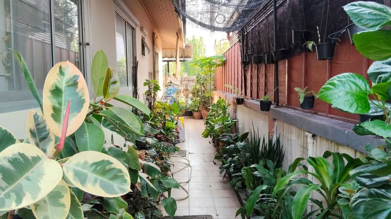 กษิรา ห้วยกะปิ, Chon Buri (Pattaya), Huai Kapi, Muang Chon Buri, Chon Buri (Pattaya), 3 Bedrooms, 150 sqm, Single Detached House For Sale, by The Best Property อ้น, 500255698 - DDproperty.com