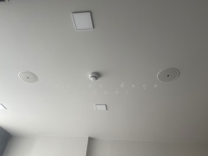 Atmoz Oasis Onnut : แอทโมซ โอเอซิส อ่อนนุช, กรุงเทพ, ซอยอ่อนนุช 66/1 ถนนอ่อนนุช, สวนหลวง, สวนหลวง, กรุงเทพ, 24 ตร.ม., คอนโด ให้เช่า, โดย นัทยาพร พึ่มกุล (เบนซ์), 500255821 - DDproperty.com