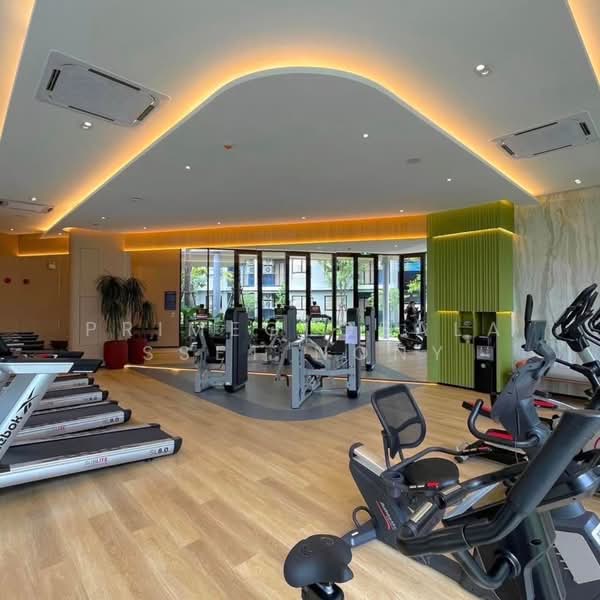 DCondo Reef, Phuket, 78 Soi Dara, Kathu, Kathu, Phuket, 1 Bedroom, 30 sqm, Condo For Rent, by primeglobalasset Nony, 500255931 - DDproperty.com