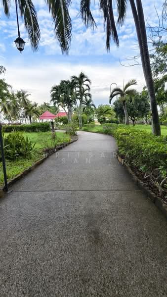 Sunshine Beach Condotel, Chon Buri (Pattaya), Na Chom Thian, Sattahip, Chon Buri (Pattaya), Studio, 56 sqm, Condo For Rent, by Supitsara  Sangarun, 500255988 - DDproperty.com