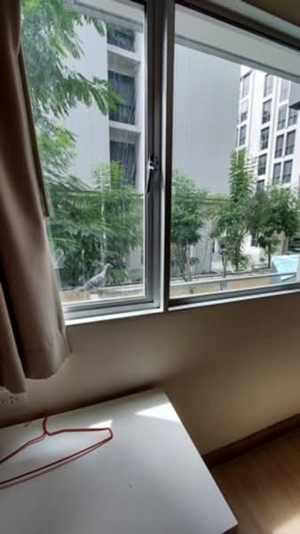ให้เช่า - My Condo Sukhumvit 81 : มายคอนโด สุขุมวิท81, กรุงเทพ