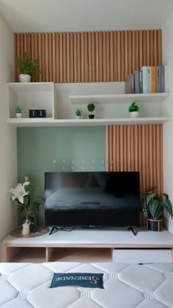 My Condo Sukhumvit 81, Bangkok, Soi Sukhumvit 81 Sukhumvit Road, Bang Chak, Phra Khanong, Bangkok, 1 Bedroom, 35 sqm, Condo For Rent, by ศิรินทร์ธร โรจนบวร, 500256058 - DDproperty.com