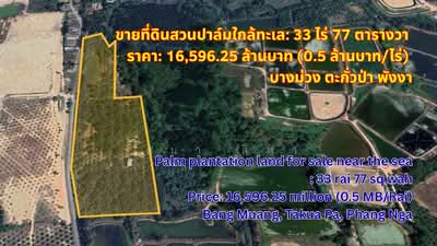 ขาย - ขายที่ดินแปลงใหญ่ ใกล้ทะเล บางม่วง ตะกั่วป่า พังงา, พังงา