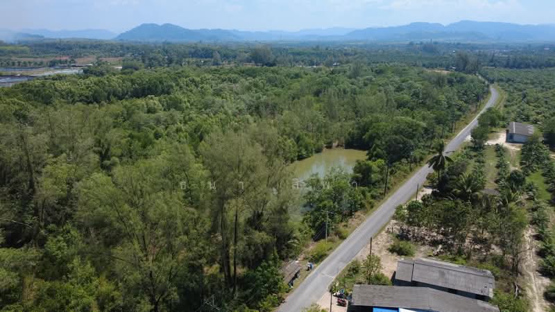 ขาย - ขายที่ดินแปลงใหญ่ ใกล้ทะเล บางม่วง ตะกั่วป่า พังงา, พังงา