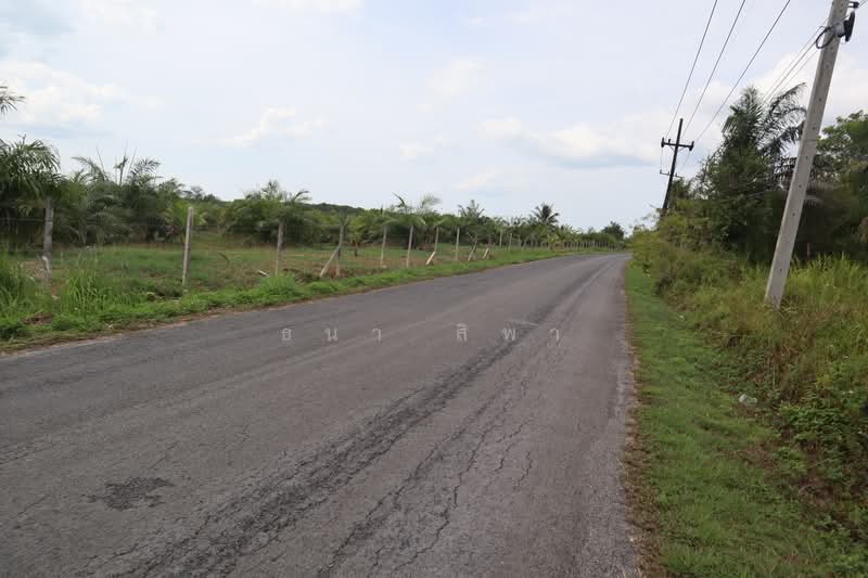 ขาย - ขายที่ดินแปลงใหญ่ ใกล้ทะเล บางม่วง ตะกั่วป่า พังงา, พังงา