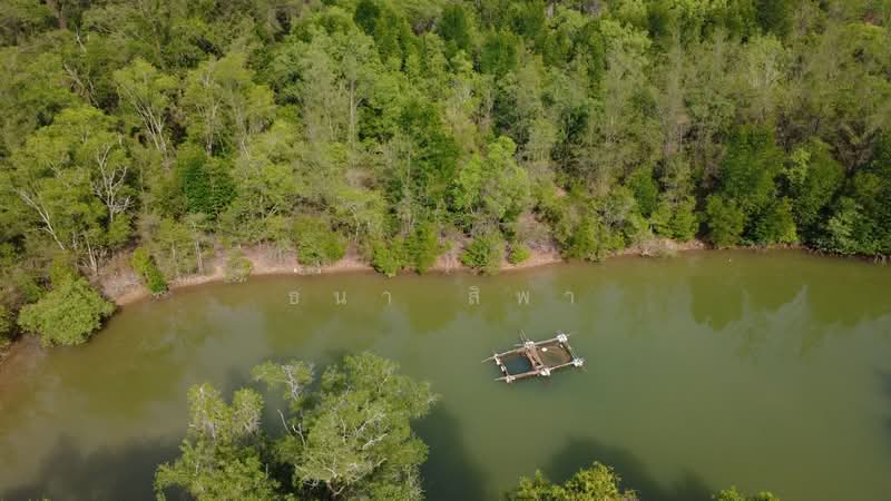 ขาย - ขายที่ดินแปลงใหญ่ ใกล้ทะเล บางม่วง ตะกั่วป่า พังงา, พังงา