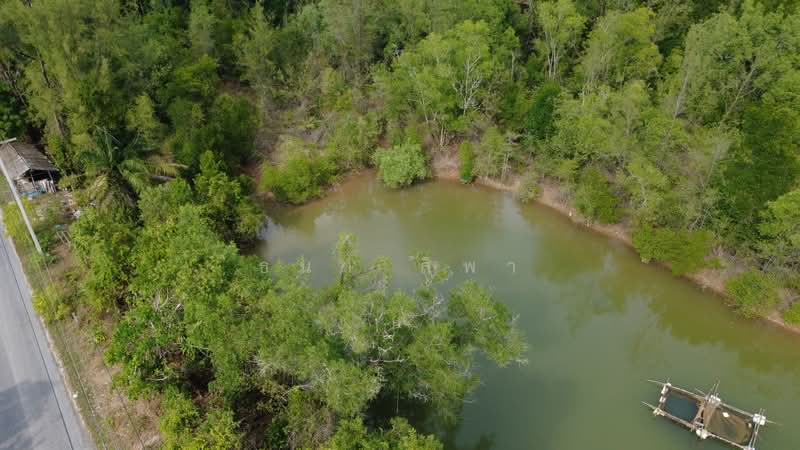 Large plot of land for sale near the sea, Bang Muang, Takua Pa, Phang Nga., Phangnga, Bang Muang, Takua Pa, Phangnga, , 53,108 sqm, Land For Sale, by Tana Sipa, 500256239 - DDproperty.com