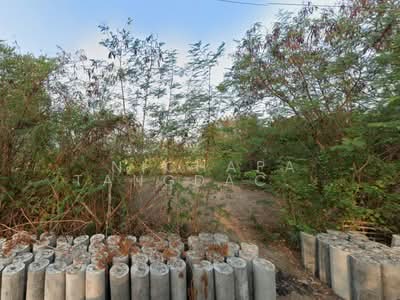 ขาย - บ้านคลองเจ้า-บ้านหนองเพรางาย ไทรน้อย, นนทบุรี