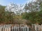 บ้านคลองเจ้า-บ้านหนองเพรางาย ไทรน้อย, นนทบุรี