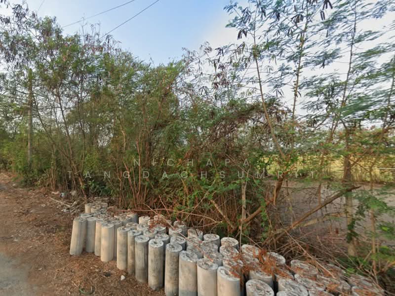 บ้านคลองเจ้า-บ้านหนองเพรางาย ไทรน้อย, Nonthaburi, Nong Prao Ngai, Sai Noi, Nonthaburi, , 240 sqm, Land For Sale, by Nichapa Tangdachsumrit, 500256359 - DDproperty.com