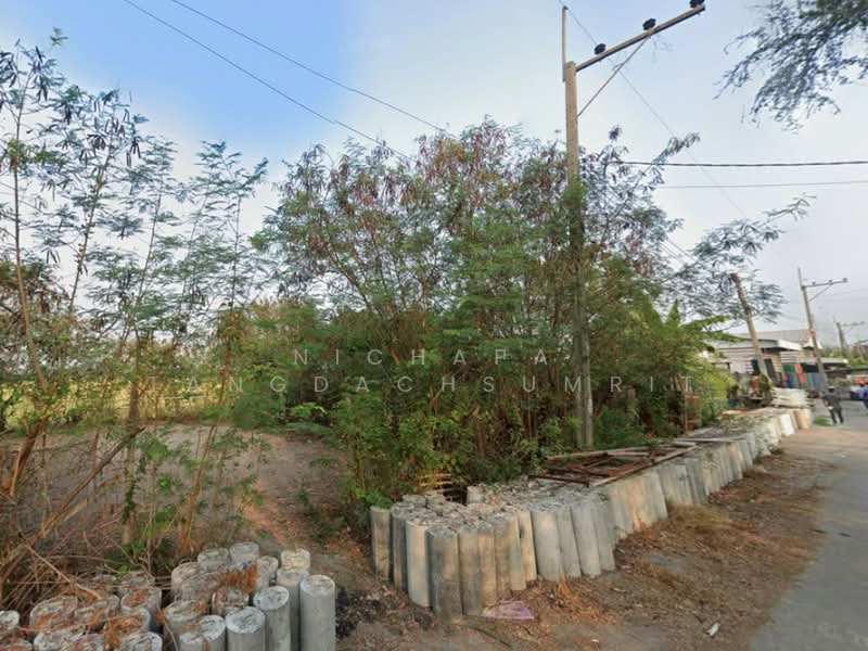 บ้านคลองเจ้า-บ้านหนองเพรางาย ไทรน้อย, นนทบุรี, หนองเพรางาย, ไทรน้อย, นนทบุรี, 240 ตร.ม., ที่ดิน ขาย, โดย Nichapa Tangdachsumrit, 500256359 - DDproperty.com