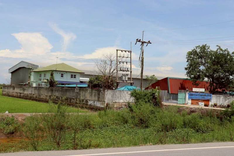 บางตาเถร, สุพรรณบุรี, บางตาเถร, สองพี่น้อง, สุพรรณบุรี, 10,800 ตร.ม., ที่ดิน ขาย, โดย มิตร ชูนิ่ม, 500256476 - DDproperty.com
